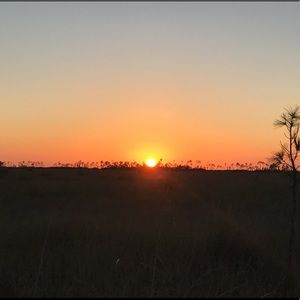 Meet your Posher, Brielle